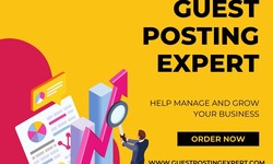 Gain Valuable Insights from Indian Guest Posting Services