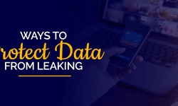 Four Ways to Prevent Data Leakage