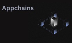 Exploring the Benefits of AppChains for Scalable Blockchain Applications
