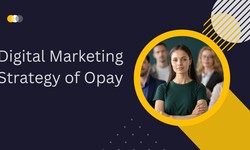A Comprehensive Digital Marketing Strategy of Opay: Empowering Financial Services through Innovation and Accessibility