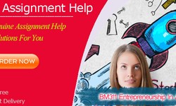 BM311 Entrepreneurship In A Digital Age Assignment