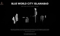 Blue World City and Its Blocks: A Blend of Excellence and Diversity