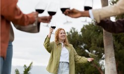 Experience the Ultimate Convenience: Winery Tours with Professional Transportation Services