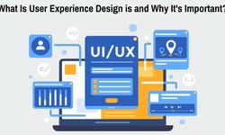 Briefly Explain What User Experience Design is and Why It's Important?