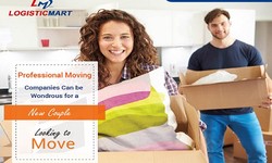 How packers and movers in Mahipalpur will help you declutter your office space?