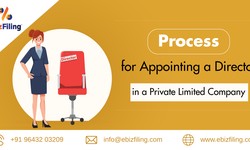 How to Appoint a Director in a Private Limited Company?