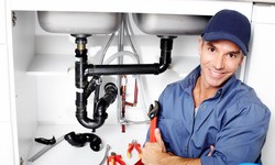 Plumbing Maintenance: Why Regularly Consulting A Plumber Is Vital