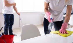 The Top-notch Cleaning Services That Deliver Immaculate Results