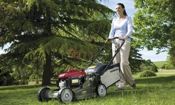 Finding Top-notch Lawn Care Services and Landscapers in Indiana