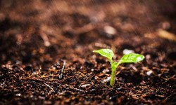 The significance of soil testing for farming