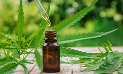 How to Make Your Own THC Tincture: A Beginner's Guide