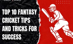Top 10 Fantasy Cricket Tips and Tricks for Success — levelUp11