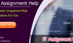 We are offering you the best resources and quality at IT assignment help services