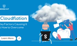 All About Cloudflation: Key Factors Causing it and Preferred Best Practices