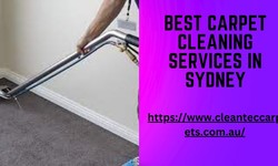 Satisfaction Guaranteed: The Best Carpet Cleaning Services in Sydney