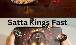 Know About VIP Satta King: An Insider's Guide to the Game