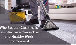 Why Regular Cleaning is Essential for a Productive and Healthy Work Environment