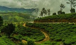 Explore India’s best places to visit in monsoon