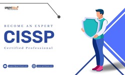 The Future of CISSP Certification: Emerging Trends and Evolving Roles
