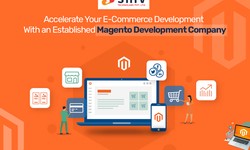 Accelerate Your E-Commerce Development With an Established Magento Development Company