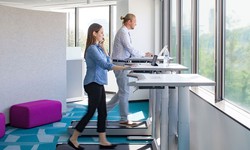 Creating a Healthy and Productive Workplace: Essential Considerations