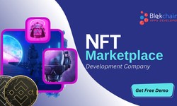 NFT MARKETPLACE DEVELOPMENT COMPANY