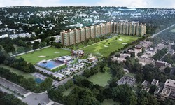 Where Should I Buy a Flat in or near Chandigarh?