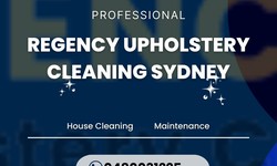 Luxurious Leather Rejuvenation: Experience Immaculate Upholstery Cleaning in Sydney