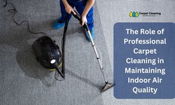 The Role of Professional Carpet Cleaning in Maintaining Indoor Air Quality