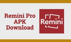 How to Download and Install Remini Pro APK