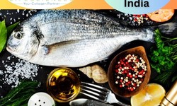 Fish Collagen Peptide: Popular Supplement in India