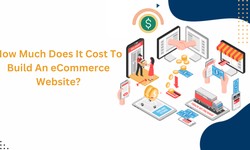 How Much Does It Cost To Build An eCommerce Website