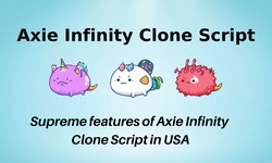 Supreme features of Axie Infinity Clone Script in USA