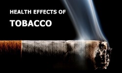 The Smoking Epidemic: Understanding the Risks and Pursuing a Smoke-Free Future
