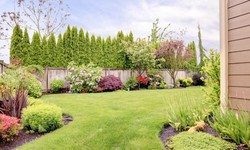 Transforming Your Mesa Yard with Innovative Landscape Design