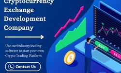 Choose the Best Cryptocurrency Exchange Development Company