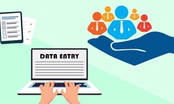 A Comprehensive Guide to Online Data Entry Services