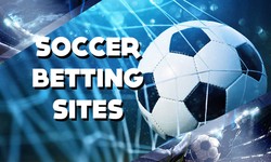 Football Betting - Learn How to Bet and Become a Winner Today!