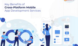 Key Benefits of Cross-Platform Mobile App Development Services