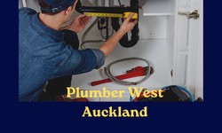 Professional Plumbing Services: Exact Problem Resolution