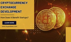 Cryptocurrency Exchange Development: How Does It Benefit Startups?