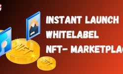 The Future of Digital Assets: Instant Launch Whitelabel NFT Marketplace Development
