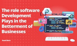 The role software development plays in the betterment of businesses