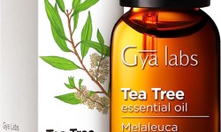 Comprehensive Guide to Using Tea Tree Oil for Nail Fungus
