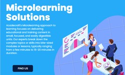 What Are the Key Features and Components of Effective Microlearning Solutions?