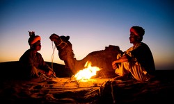 Explore Oman with Safari Tours, Desert Safaris, Muscat Day Trips, and More!