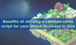 Benefits of utilizing a sandbox clone script for your virtual business in USA
