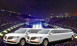For business adventurers, Boston Logan Vehicle Rental offers convenience and comfort