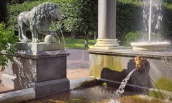 5 Tips for Buying the Best Pumps for Your Fountain
