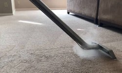 Expert's Tips and Tricks for Carpet Cleaning in Melbourne